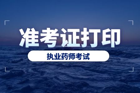 陕西执业药师准考证打印